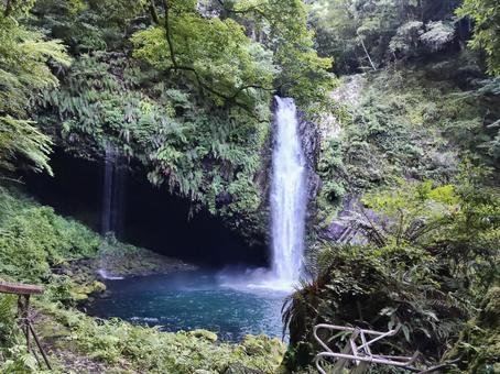 浄蓮の滝 浄蓮の滝の写真