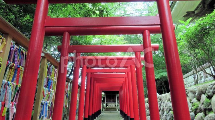 法多山尊永寺敷地内　双葉神社の赤鳥居 赤鳥居,初夏,新緑の写真素材
