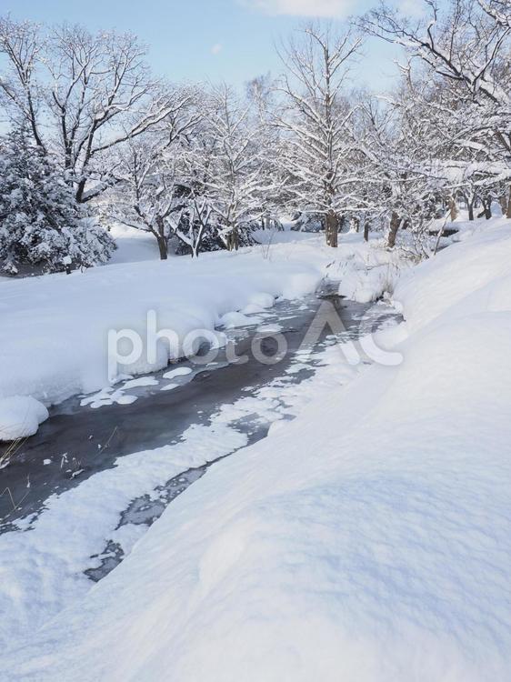 雪が積もった川(中島公園、北海道札幌市） 川,中島公園,公園の写真素材