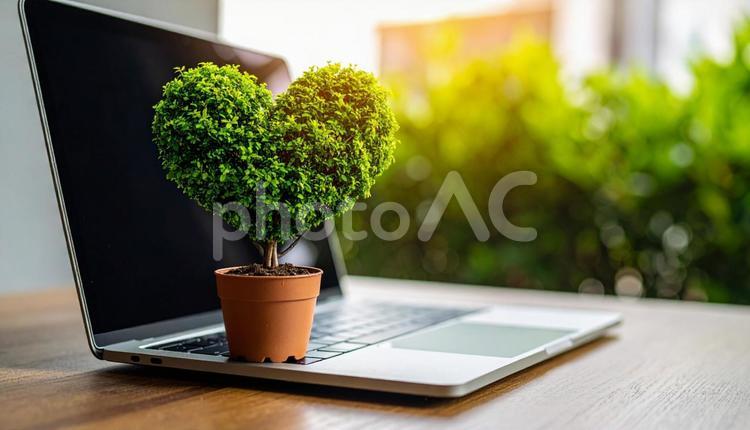 ハート型の小さな木とノートパソコン ハート,育てる,教育の写真素材