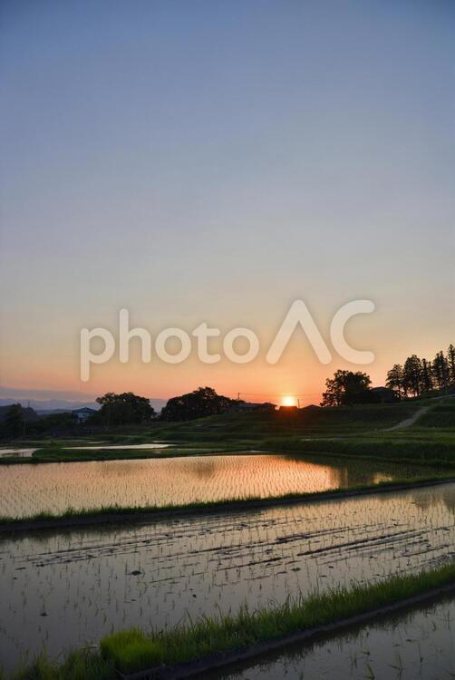 棚田の夕景 棚田,寺坂,寺坂棚田の写真素材