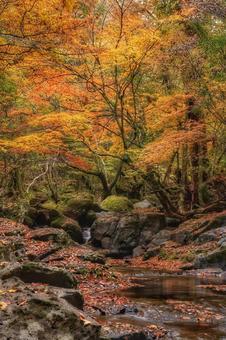マゼノ渓谷 渓谷,自然,風景の写真素材