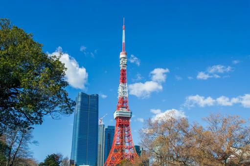 東京の都市風景 東京の都市風景 東京,風景,都市風景の写真素材