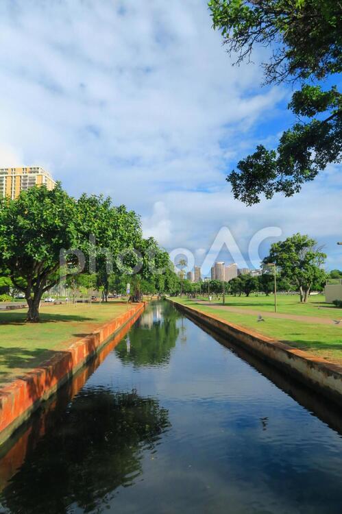 ハワイの風景（60）公園内を流れる小川 ハワイ,青空,公園の写真素材