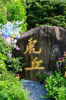 Photo, suzhou, tiger hill, tower, 
