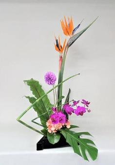 花 花の写真
