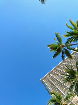 ハワイ ハワイ,ホノルル,ワイキキの写真素材