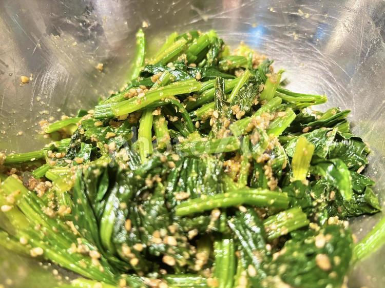 胡麻和えほうれん草 ほうれん草,胡麻和え,ごまの写真素材