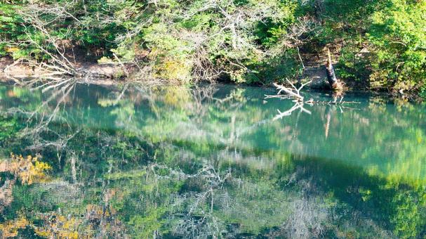 空を抱く水鏡 空を抱く水鏡の写真