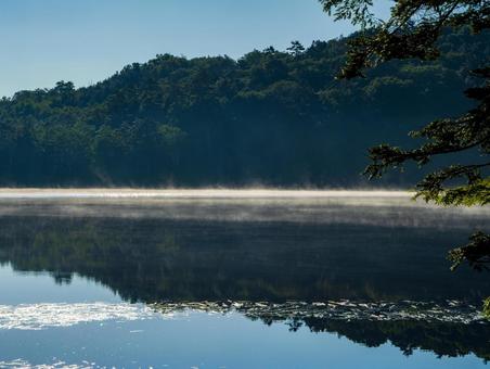 白駒池の朝もや 白駒池,朝もや,北八ヶ岳の写真素材