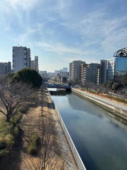 木場公園 仙台堀川 縦型 木場公園 仙台堀川 縦型 木場公園,木場,江東区の写真素材
