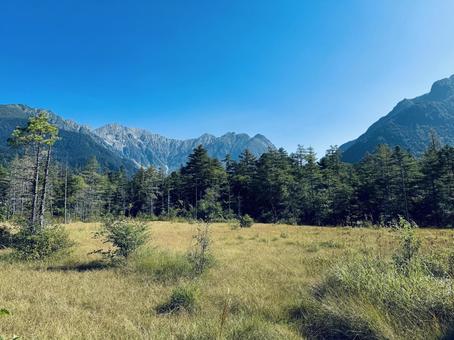 秋の湿原 秋,湿原,上高地の写真素材