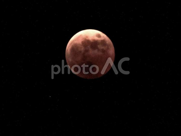 11月の皆既月食 月食,月,11月の月の写真素材