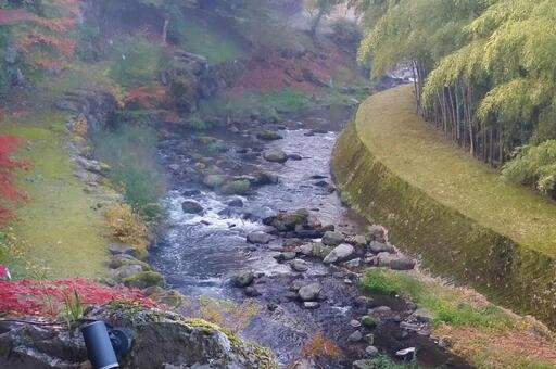 キレイな川 キレイな川の写真