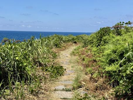 福井県東尋坊雄島島内の景色 福井県東尋坊雄島島内の景色 雄島,獣道,小道の写真素材