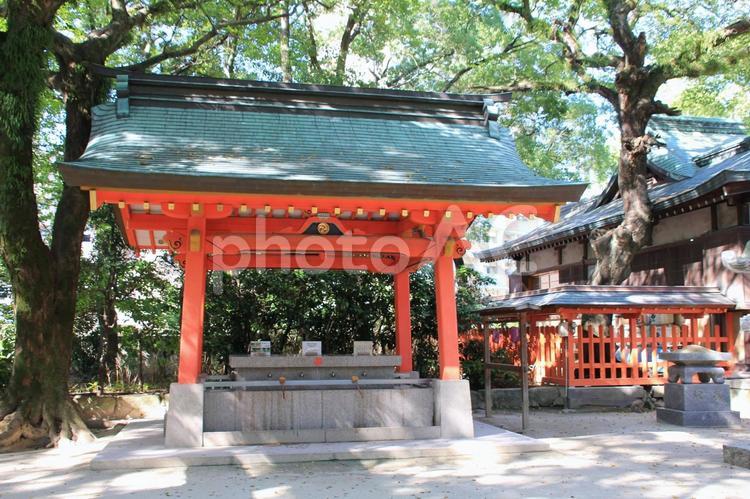 福岡市の住吉神社の手水舎 手水舎,手水,住吉神社の写真素材