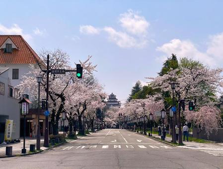鶴ヶ城と桜 鶴ヶ城,会津若松城,福島県の写真素材