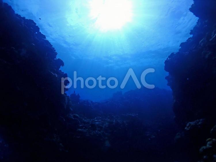 沖縄・石垣島海底に届く日差し 沖縄,石垣島,スキューバダイビングの写真素材