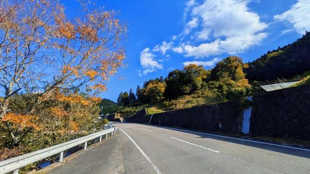 静寂の道 今治市,鈍川渓谷,木の写真素材