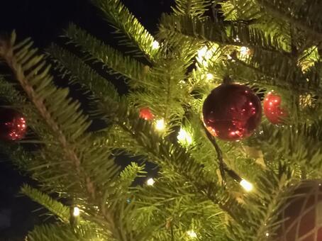 クリスマスツリー クリスマス,クリスマスツリー,イルミネーションの写真素材
