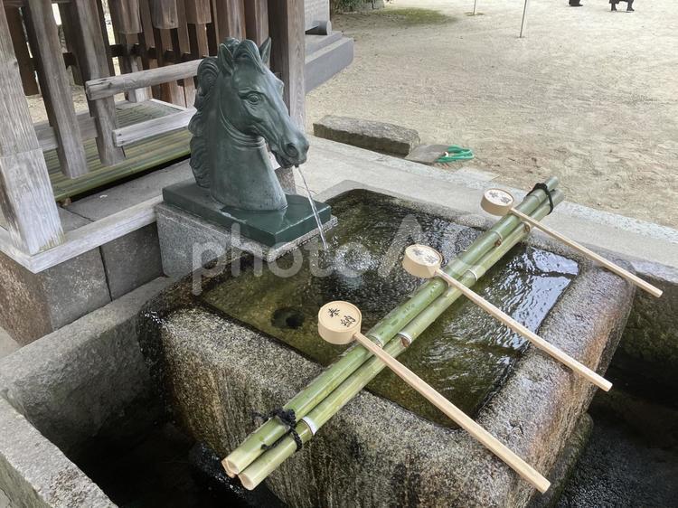 京都・藤森神社(手水舎) 手水舎,馬の像,藤森神社の写真素材