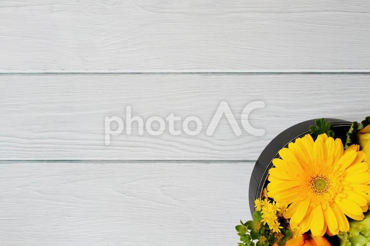 色鮮やかなボックスフラワーと白い木目背景 花,花束,植物の写真素材
