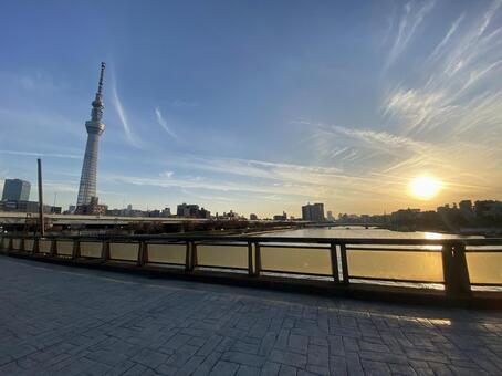 隅田川から見えるスカイツリーと夕日 夕日,スカイツリー,東京スカイツリーの写真素材