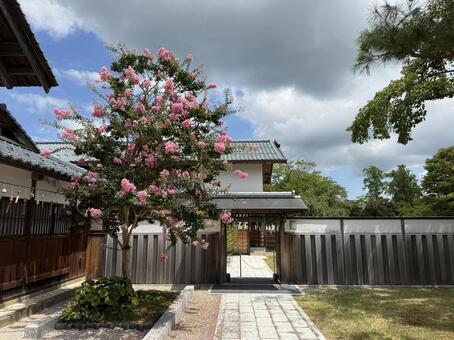 越前陶芸村　夏の装い　越前古窯博物館 越前古窯博物館,陶芸,夏風の写真素材