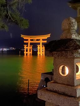 夜に浮かぶ鳥居 夜に浮かぶ鳥居の写真