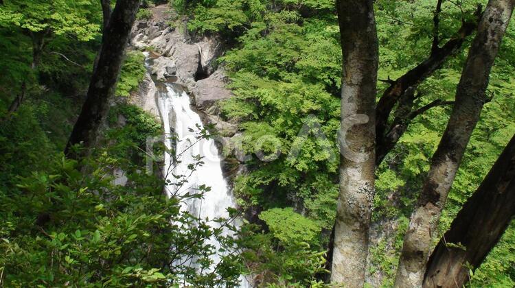 秋保大滝 秋保大滝,秋保,日本三大名瀑の写真素材