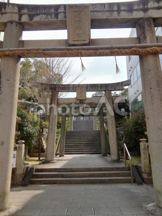 岡田宮 岡田宮,参道,参拝の写真素材