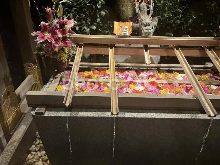 東京大神宮の手水舎 東京大神宮,手水舎,神社の写真素材