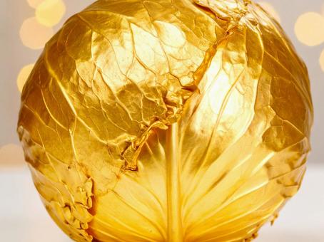 金のキャベツ 金のキャベツの写真