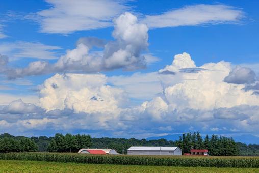 青空と雲 青空,雲,白い雲の写真素材