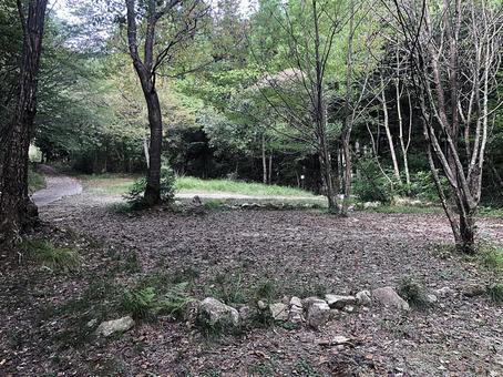 林 1 林 1の写真