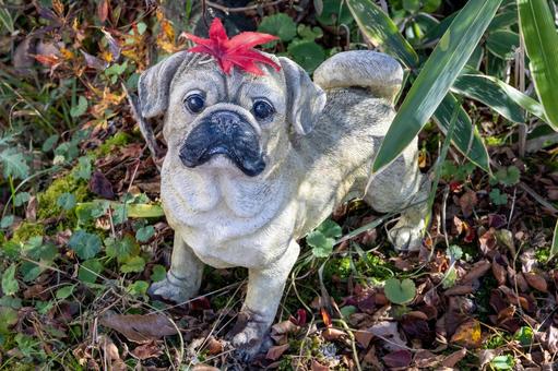 頭に真っ赤な紅葉を乗せた犬の人形 頭に真っ赤な紅葉を乗せた犬の人形 犬,人形,紅葉の写真素材