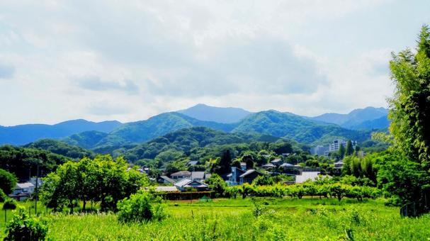 Photo, summer, nanasawa forest park, atsugi city, 