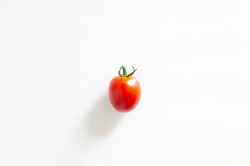真ん中のトマト 真ん中のトマトの写真