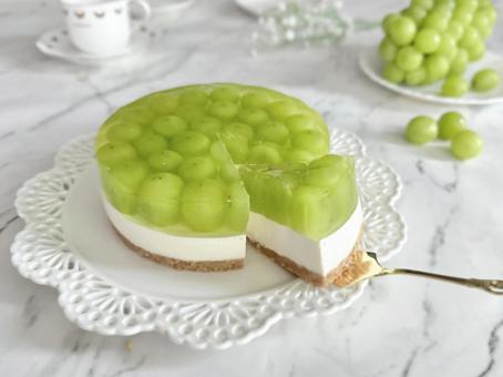 シャインマスカットのレアチーズケーキ レアチーズケーキ,シャインマスカットケーキ,シャインマスカットの写真素材