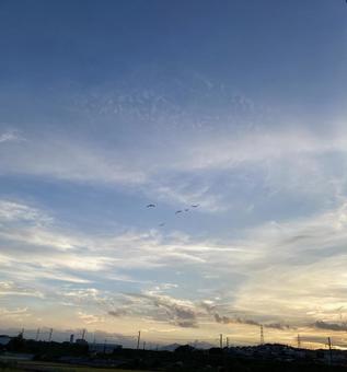 夕陽 空 夕陽 空の写真