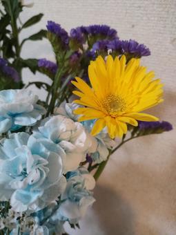 花 花の写真