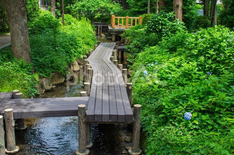 小松川境川親水公園の風景 小松川境川親水公園,江戸川区,風景の写真素材