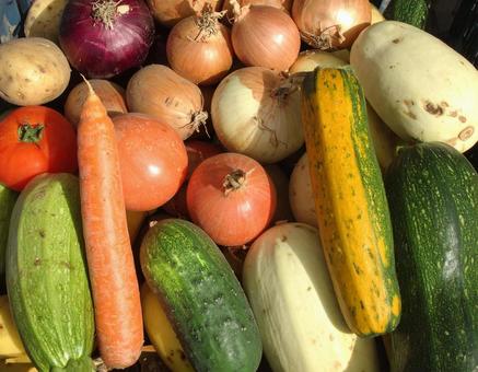 色とりどりの野菜 3 色とりどりの野菜 3の写真