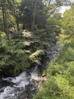 長野県軽井沢町 湯川-3 長野県軽井沢町 湯川-3 長野県,長野,信州の写真素材