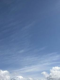 秋の空 01 空,雲,巻層雲の写真素材