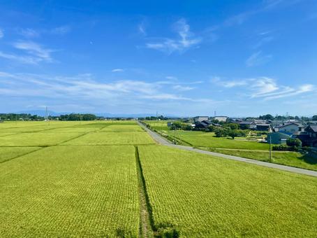 湖西線から眺める高島市マキノ町知内の風景 マキノ町,高島市,水田の写真素材