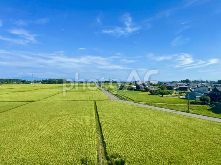 湖西線から眺める高島市マキノ町知内の風景 マキノ町,高島市,水田の写真素材