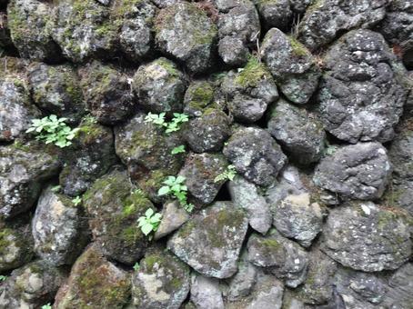 Photo, shek pik, wall, texture, 