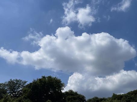 空の雲 空の雲の写真