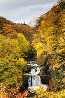 秋の鳳鳴四十八滝⒃ 秋,紅葉,滝の写真素材